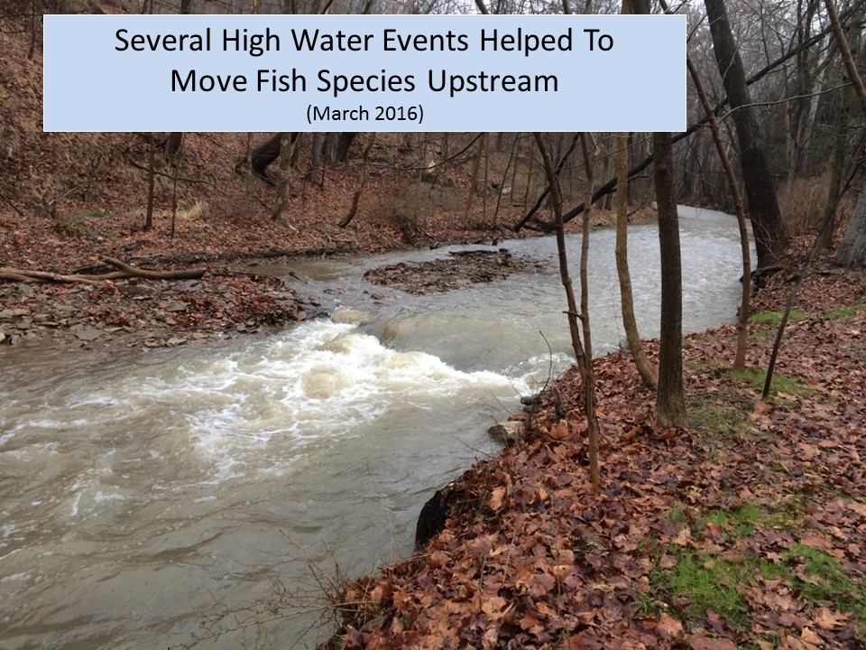 5. High Water Events