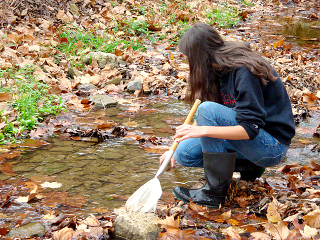 looking at creek