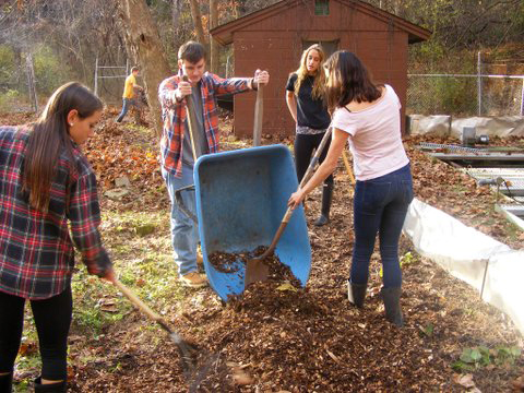 Spreading Mulch