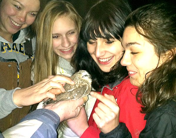 upclose girls and owl